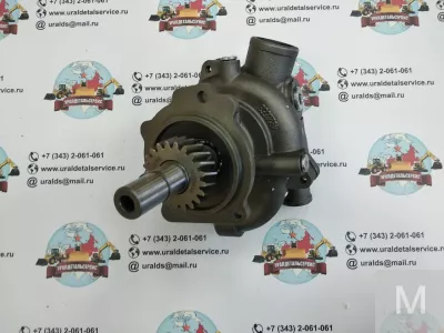 Водяной насос Cummins 3800737 (2882144, 4955705, 3803403, 3803260)